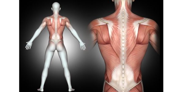 Symptoms of a Tight Psoas Muscle