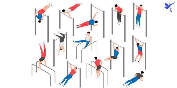 Understanding Dip Bars: 8 Diverse Options for Effective Workouts