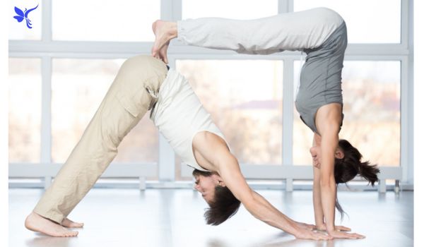 Partner Downward Facing Dog: A Classic Pose with a Cooperative Twist